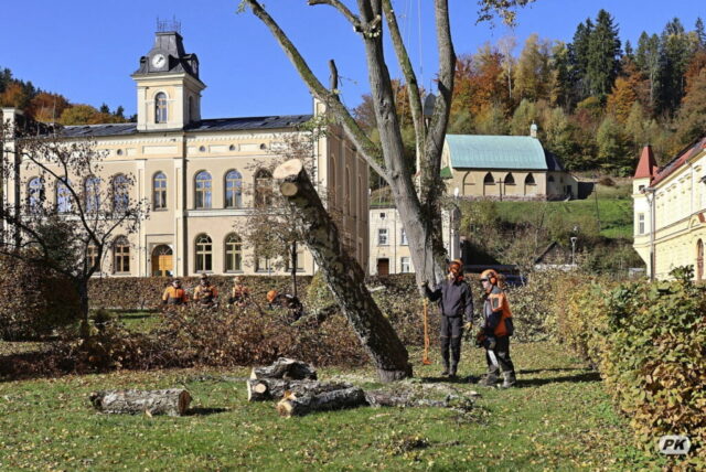 Arboristický zásah – Svoboda nad Úpou 05