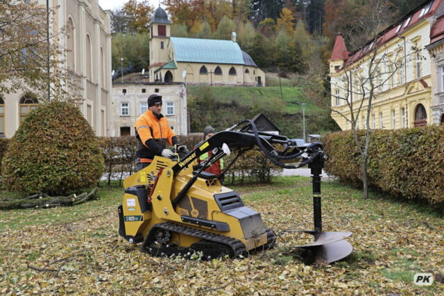 Arboristický zásah – Svoboda nad Úpou 18